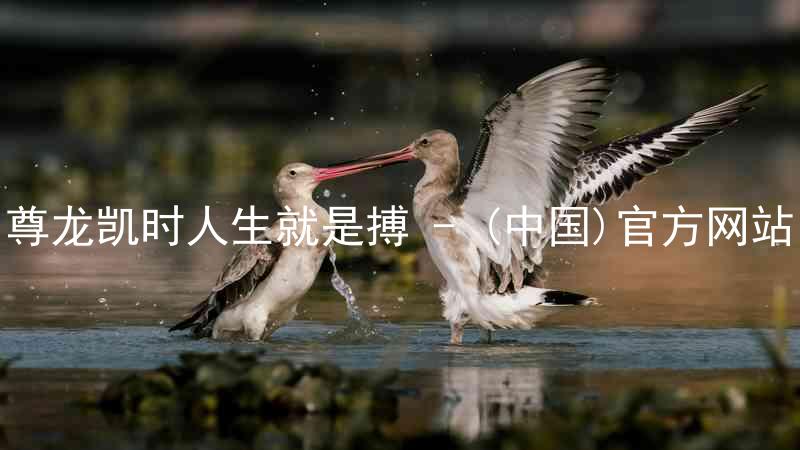 尊龙凯时人生就是搏 - (中国)官方网站
